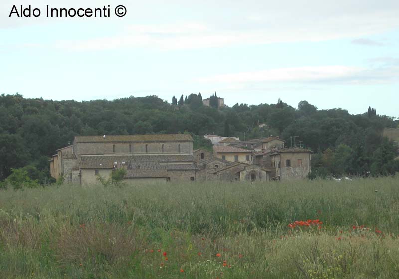 IMMAGINE PANORAMICA DI ABBADIA ISOLA